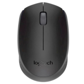 Мышь беспроводная Logitech M171 [910-004643]
